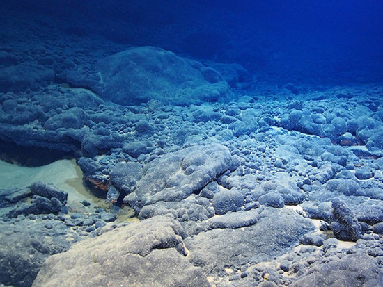 Cobalt-rich ferromanganese crusts at the seabed