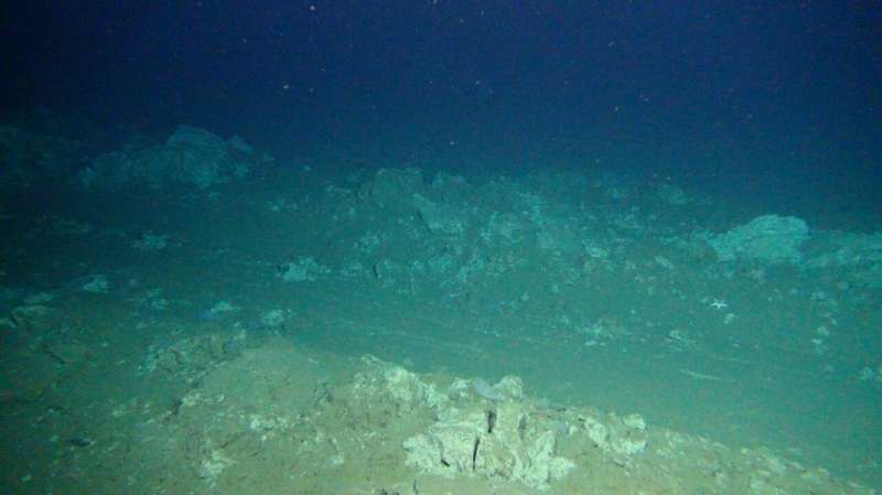 Tracks left on the seafloor by mining machinery.