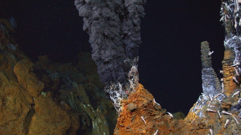 hydrothermal vents