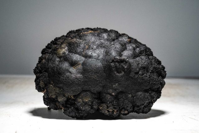 black polymetallic nodule