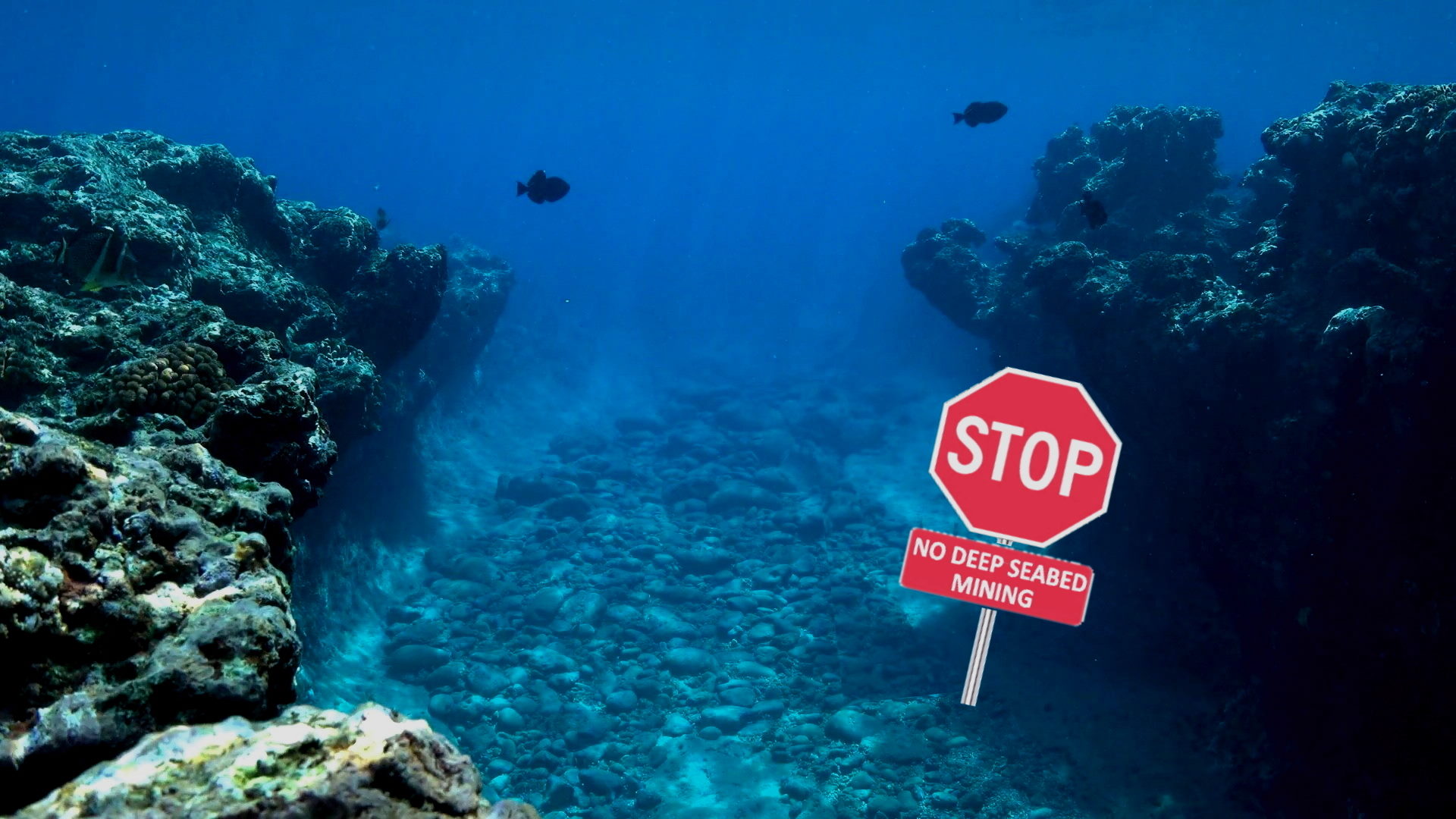 Stop sign at the seafloor